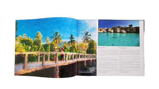 Haiti: Quand La Lentille se fait Palette