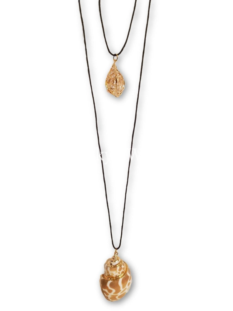 Seashell (Crystal) - Ricky's Wall