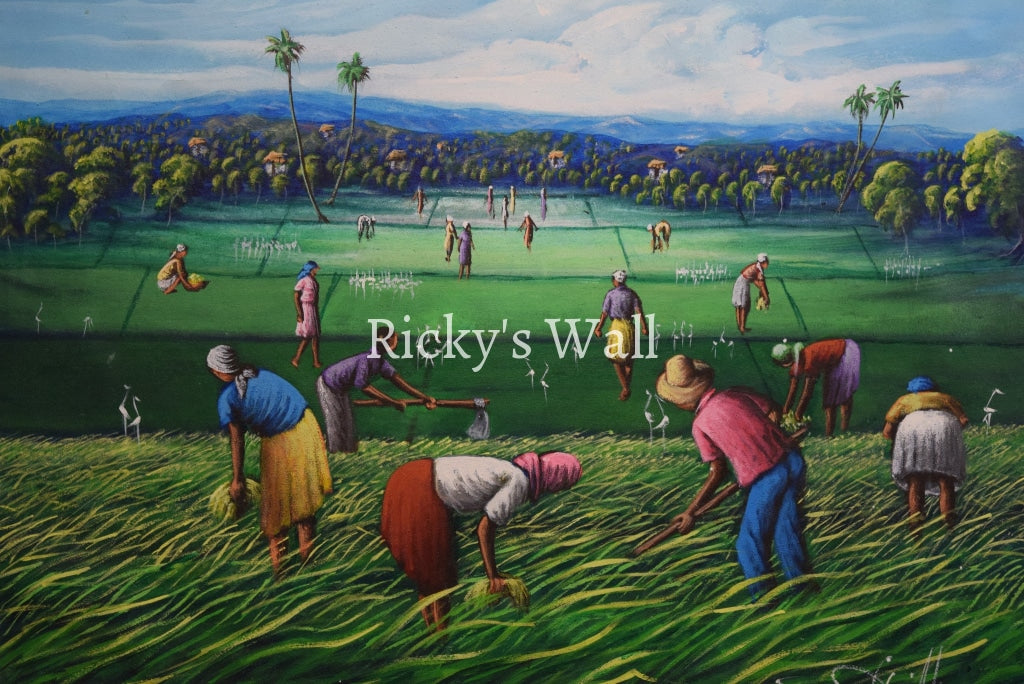 Rice Field of L'Artibonite, Haiti - 30 x 24 by Raymond Lafaille - Ricky's Wall
