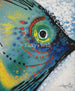 Tropical Fish - Premium 19.5 X 23.5 In. By Genenrich Pierre Painting